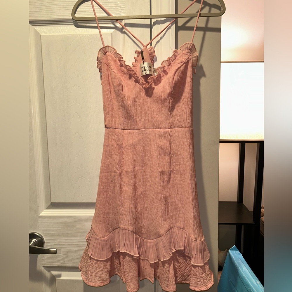 Hello Molly Blush Pink Ruffle Mini Dress - Picture 2 of 6